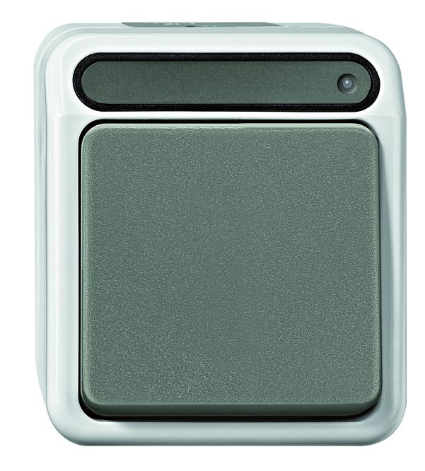 Merten AQUASTAR specialist switch range for damp rooms, surface-mounted, IP44, in light grey | Robust - Proven - Reliable grenda-hammer®