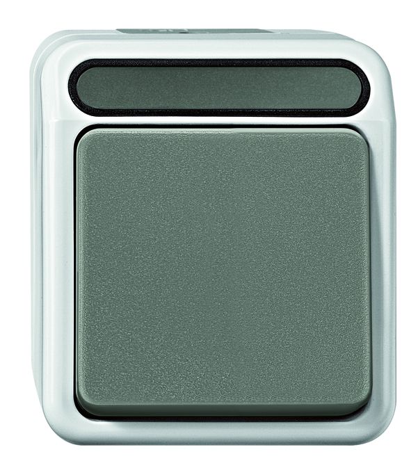 Merten AQUASTAR specialist switch range for damp rooms, surface-mounted, IP44, in light grey | Robust - Proven - Reliable grenda-hammer®